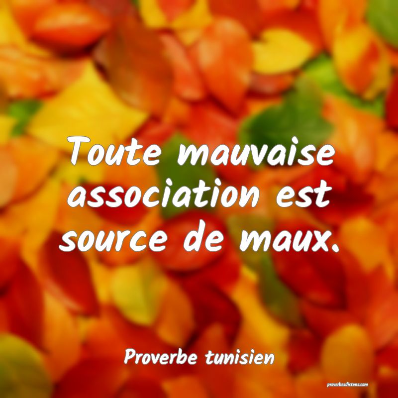 Toute mauvaise association est source de maux.