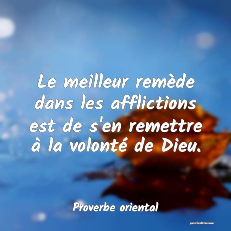 Le meilleur remède dans les afflictions est de s'en remettre à la volonté de Dieu.