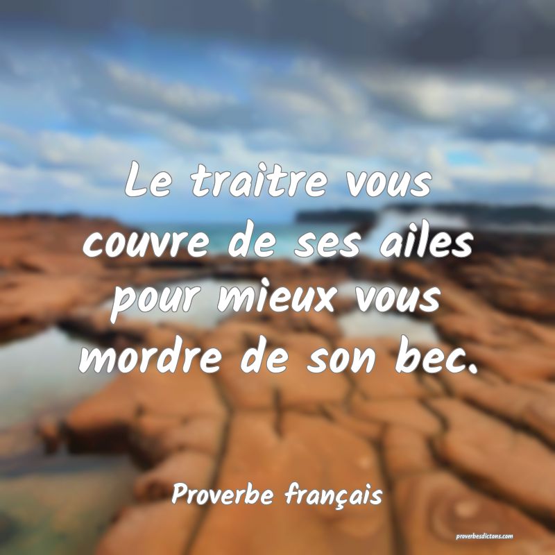 Le traitre vous couvre de ses ailes pour mieux vous mordre de son bec.