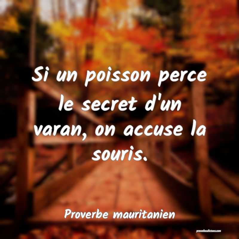 Si un poisson perce le secret d'un varan, on accuse la souris.