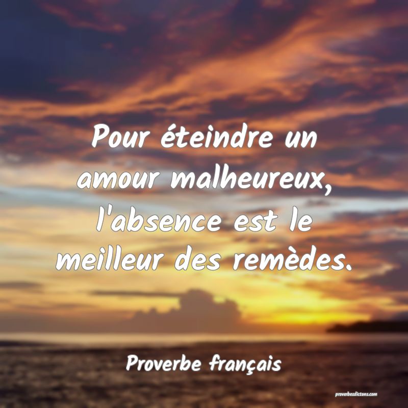 Pour éteindre un amour malheureux, l'absence est le meilleur des remèdes.