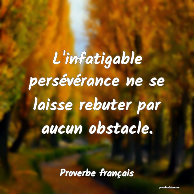 L'infatigable persévérance ne se laisse rebuter par aucun obstacle.