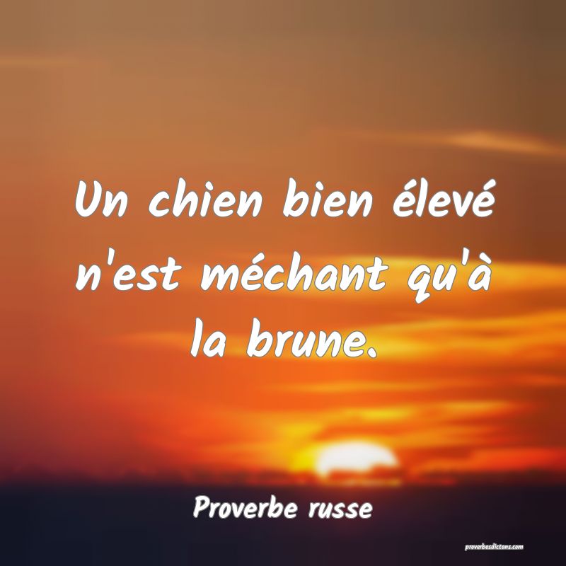 Un chien bien élevé n'est méchant qu'à la brune.