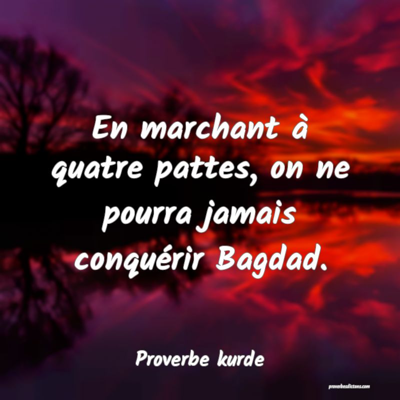 En marchant à quatre pattes, on ne pourra jamais conquérir Bagdad.