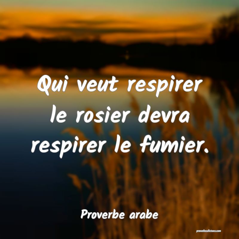 Qui veut respirer le rosier devra respirer le fumier.