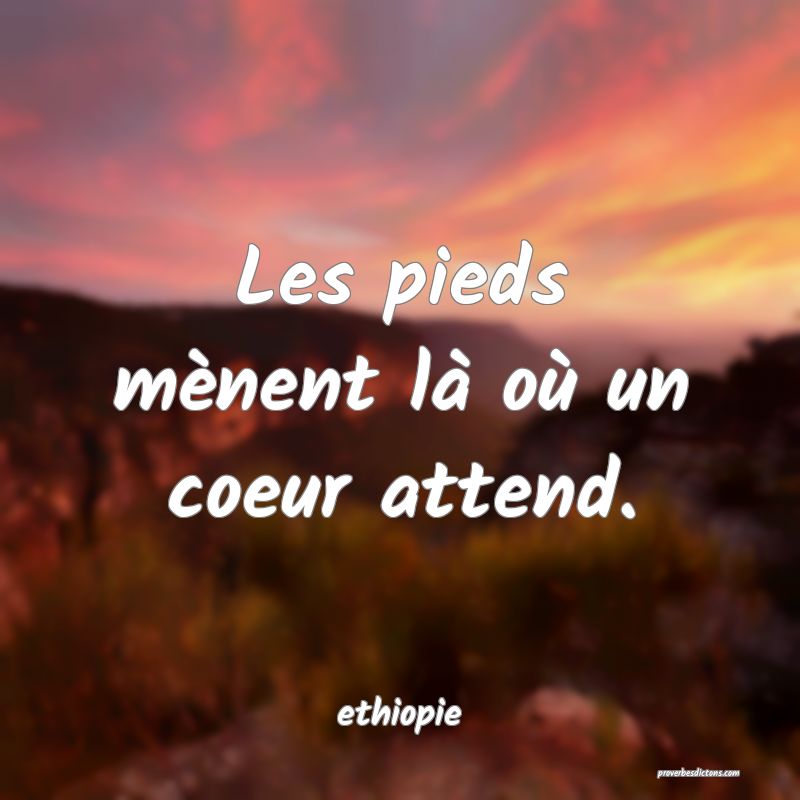  Les pieds mènent là où un coeur attend.