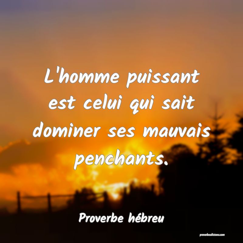 L'homme puissant est celui qui sait dominer ses mauvais penchants.