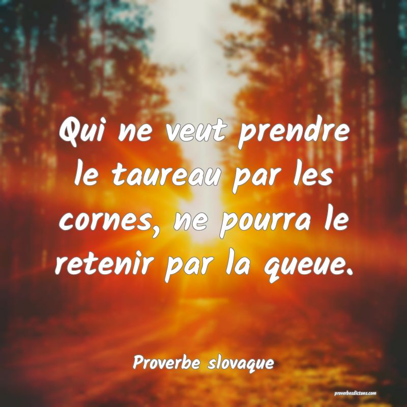 Qui ne veut prendre le taureau par les cornes, ne pourra le retenir par la queue.