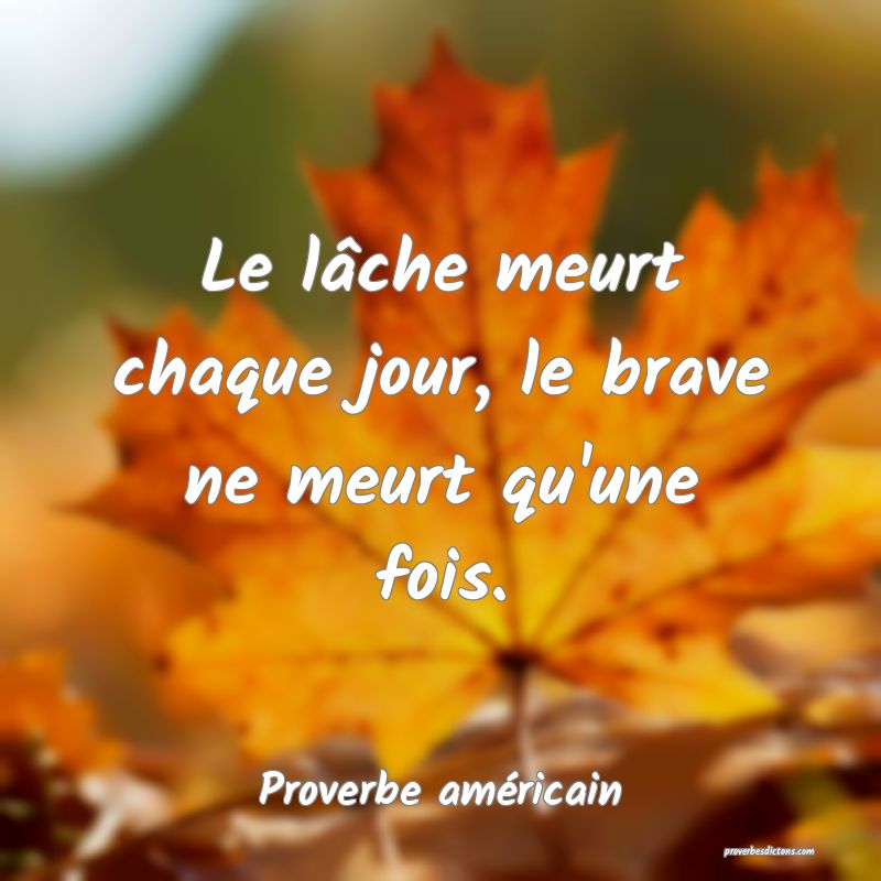 Le lâche meurt chaque jour, le brave ne meurt qu'une fois.
