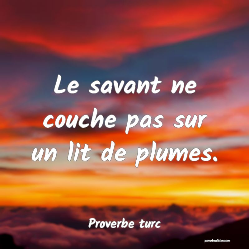 Le savant ne couche pas sur un lit de plumes.
