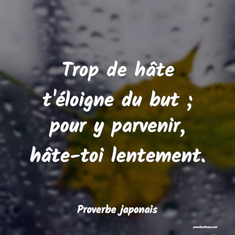 Trop de hâte t'éloigne du but ; pour y parvenir, hâte-toi lentement.
