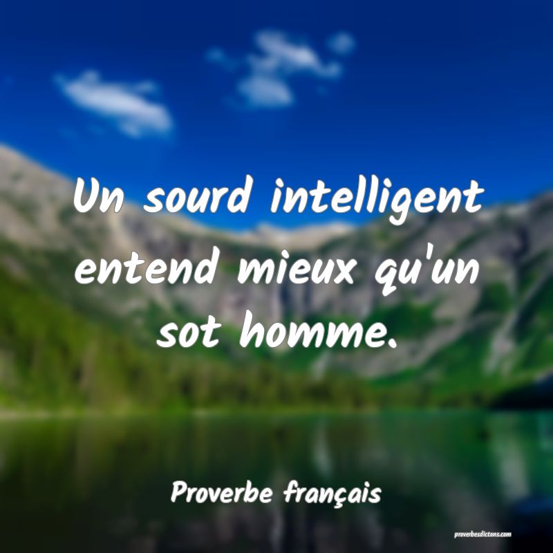 Un sourd intelligent entend mieux qu'un sot homme.