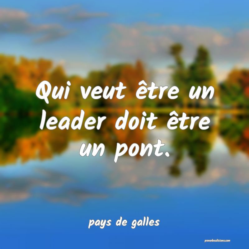  Qui veut être un leader doit être un pont.