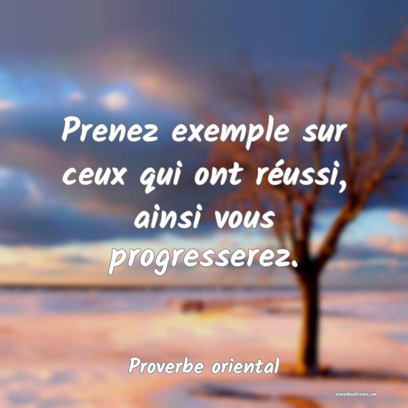 Prenez exemple sur ceux qui ont réussi, ainsi vous progresserez.