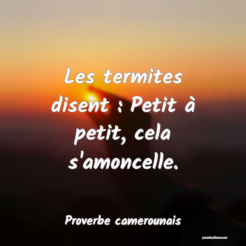 Les termites disent : Petit à petit, cela s'amoncelle.