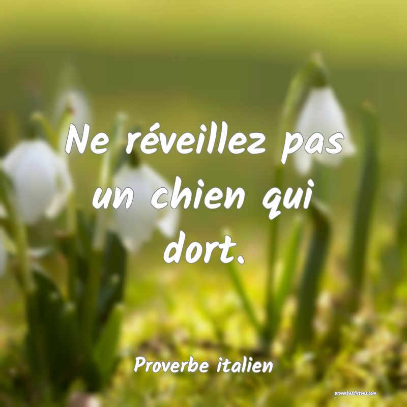 Ne réveillez pas un chien qui dort.