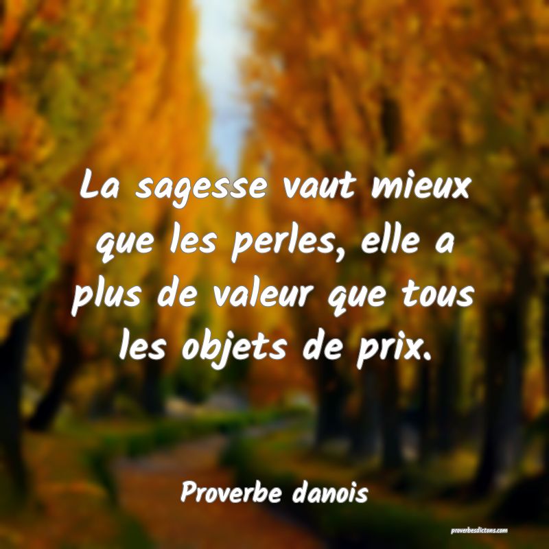 La sagesse vaut mieux que les perles, elle a plus de valeur que tous les objets de prix.