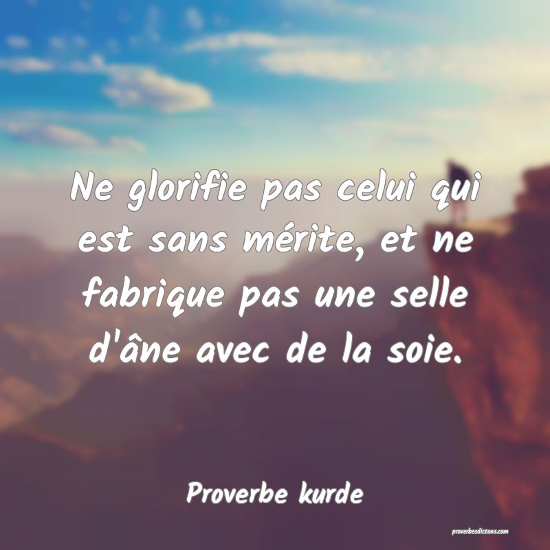 Ne glorifie pas celui qui est sans mérite, et ne fabrique pas une selle d'âne avec de la soie.