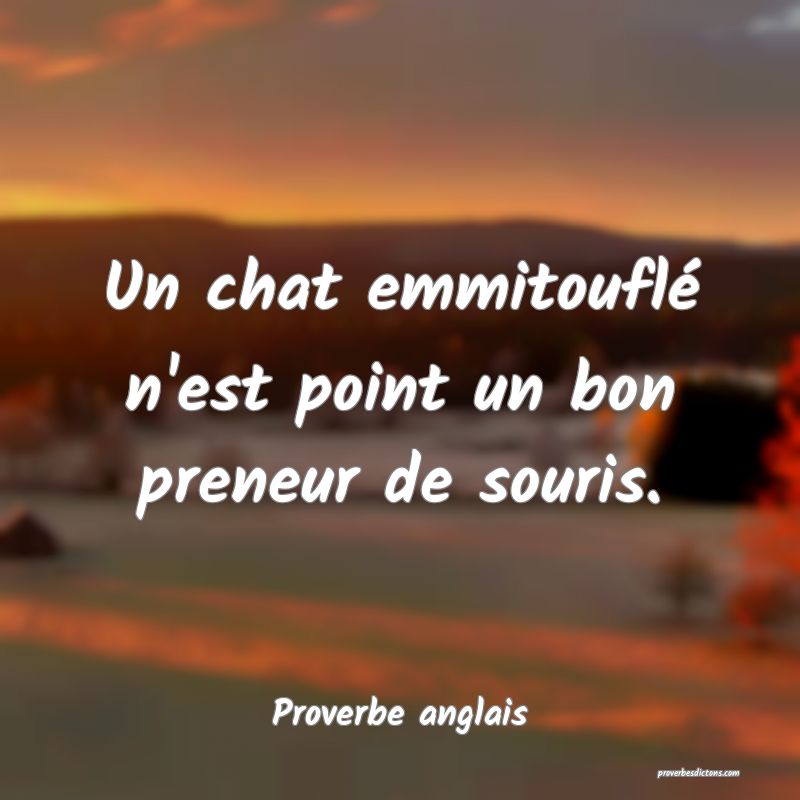 Un chat emmitouflé n'est point un bon preneur de souris.