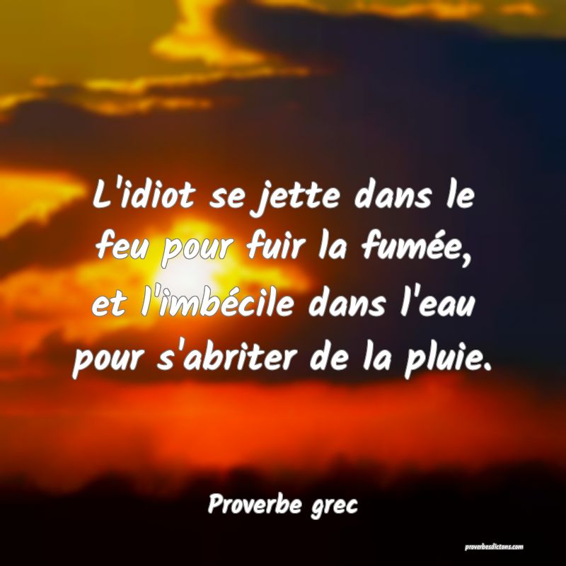L'idiot se jette dans le feu pour fuir la fumée, et l'imbécile dans l'eau pour s'abriter de la pluie.