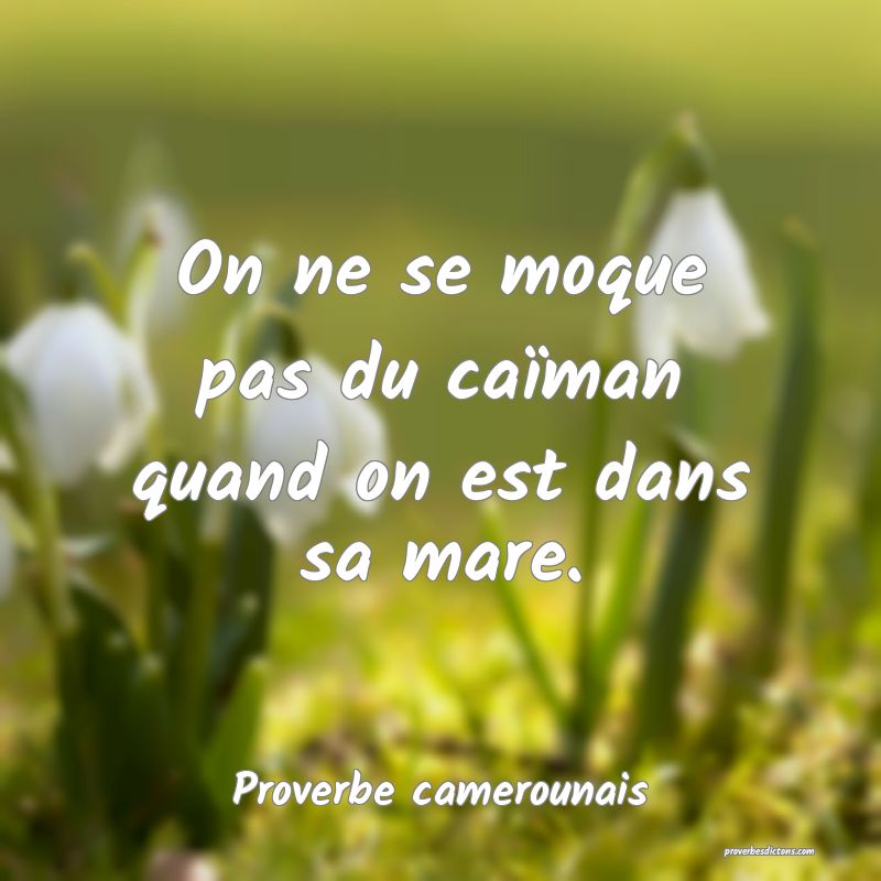 On ne se moque pas du caïman quand on est dans sa mare.