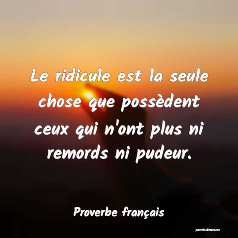 Le ridicule est la seule chose que possèdent ceux qui n'ont plus ni remords ni pudeur.