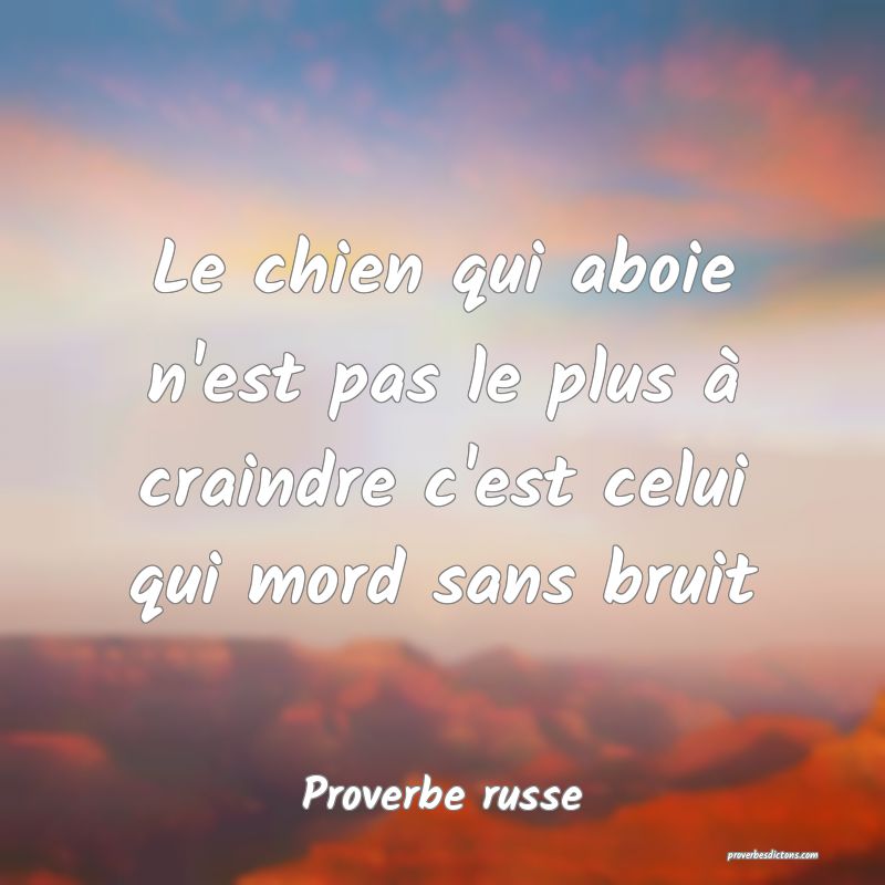  Le chien qui aboie n'est pas le plus à craindre c'est celui qui mord sans bruit