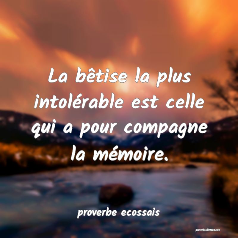 La bêtise la plus intolérable est celle qui a pour compagne la mémoire.