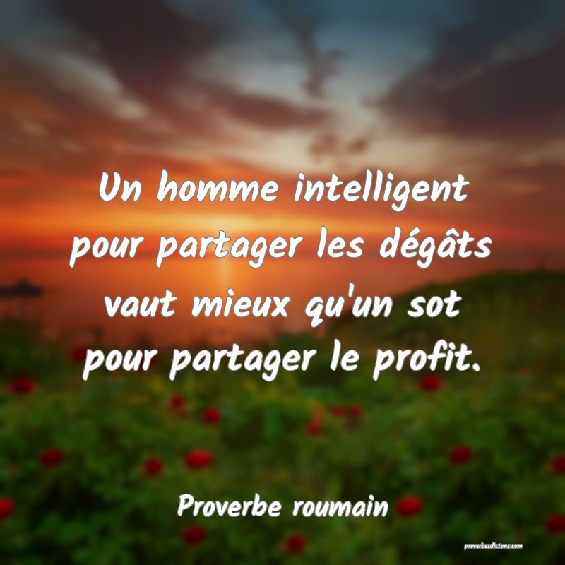 Un homme intelligent pour partager les dégâts vaut mieux qu'un sot pour partager le profit.