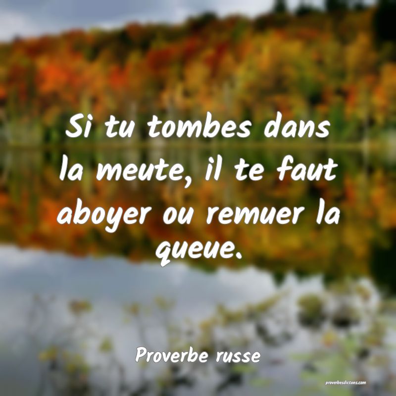 Si tu tombes dans la meute, il te faut aboyer ou remuer la queue.