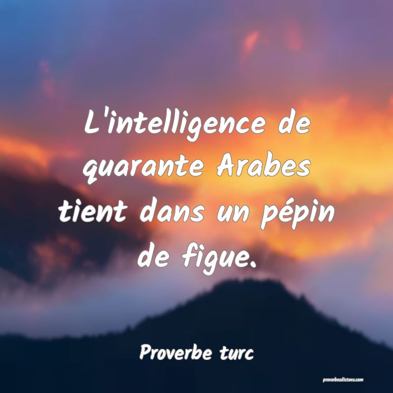 L'intelligence de quarante Arabes tient dans un pépin de figue.