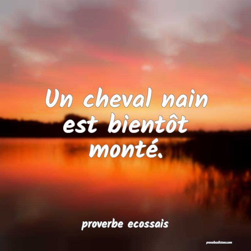 Un cheval nain est bientôt monté.