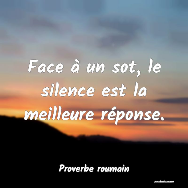 Face à un sot, le silence est la meilleure réponse.