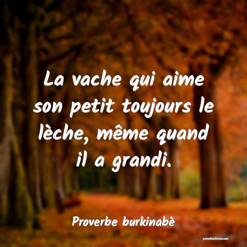 La vache qui aime son petit toujours le lèche, même quand il a grandi.