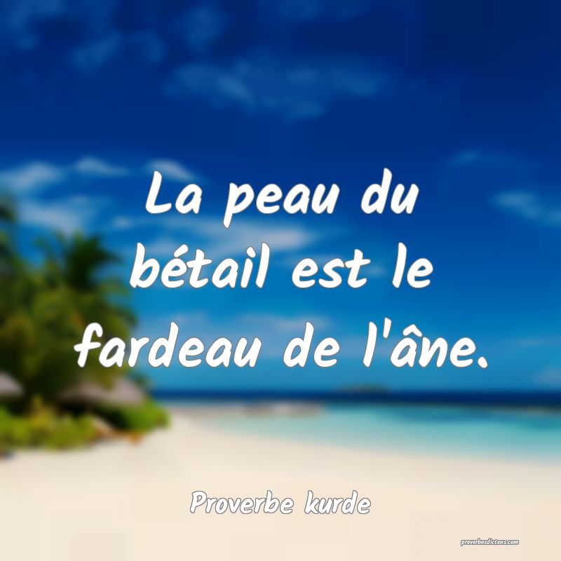 La peau du bétail est le fardeau de l'âne.