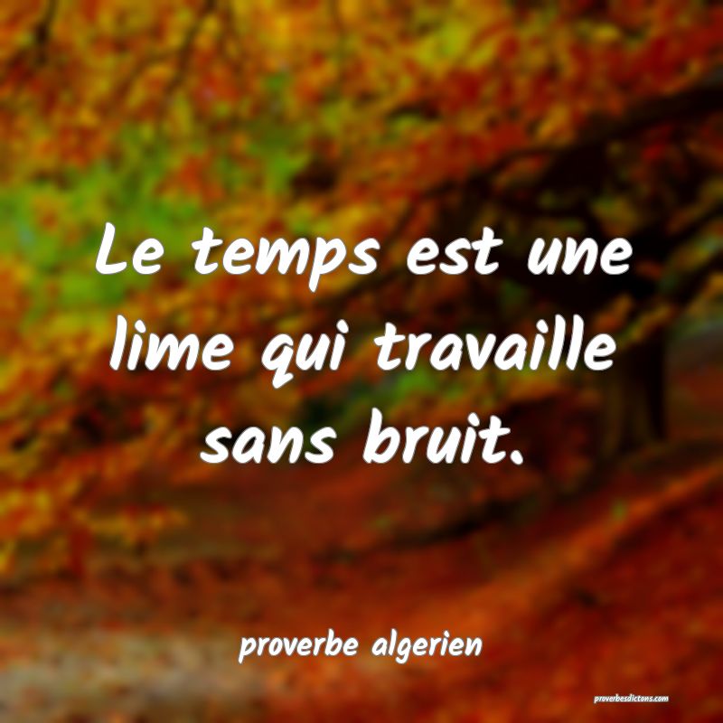  Le temps est une lime qui travaille sans bruit.