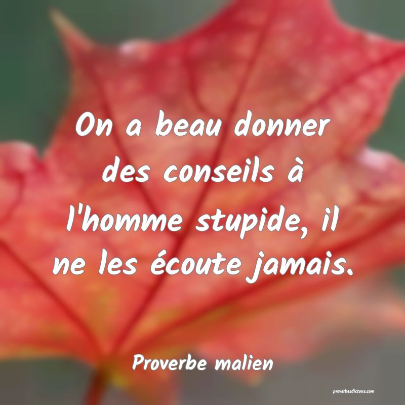 On a beau donner des conseils à l'homme stupide, il ne les écoute jamais.