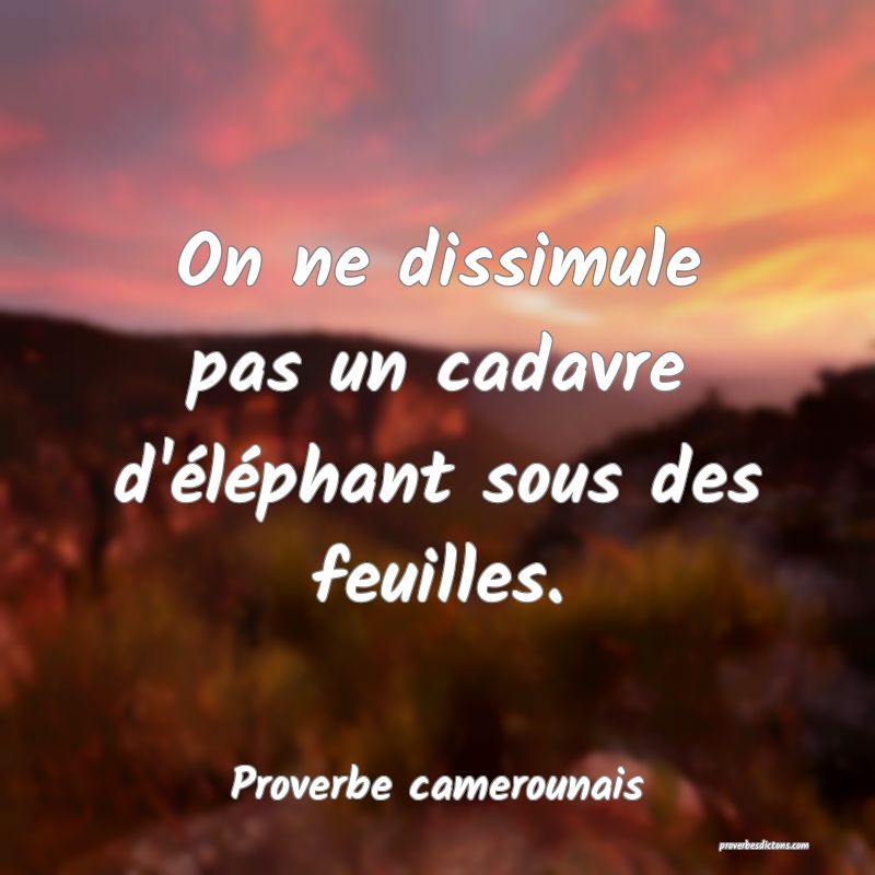 On ne dissimule pas un cadavre d'éléphant sous des feuilles.