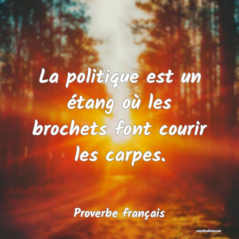 La politique est un étang où les brochets font courir les carpes.