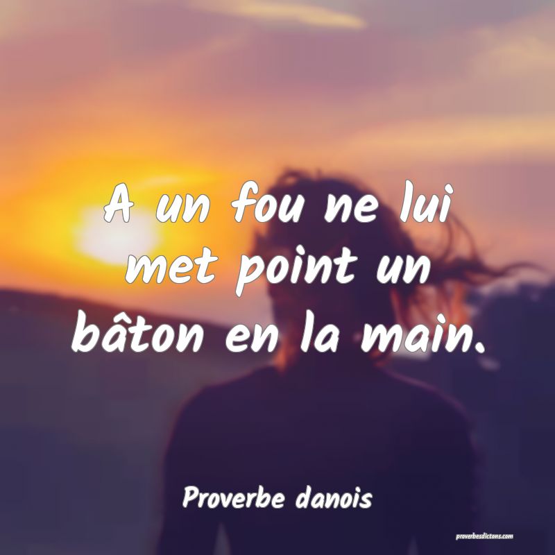 A un fou ne lui met point un bâton en la main.