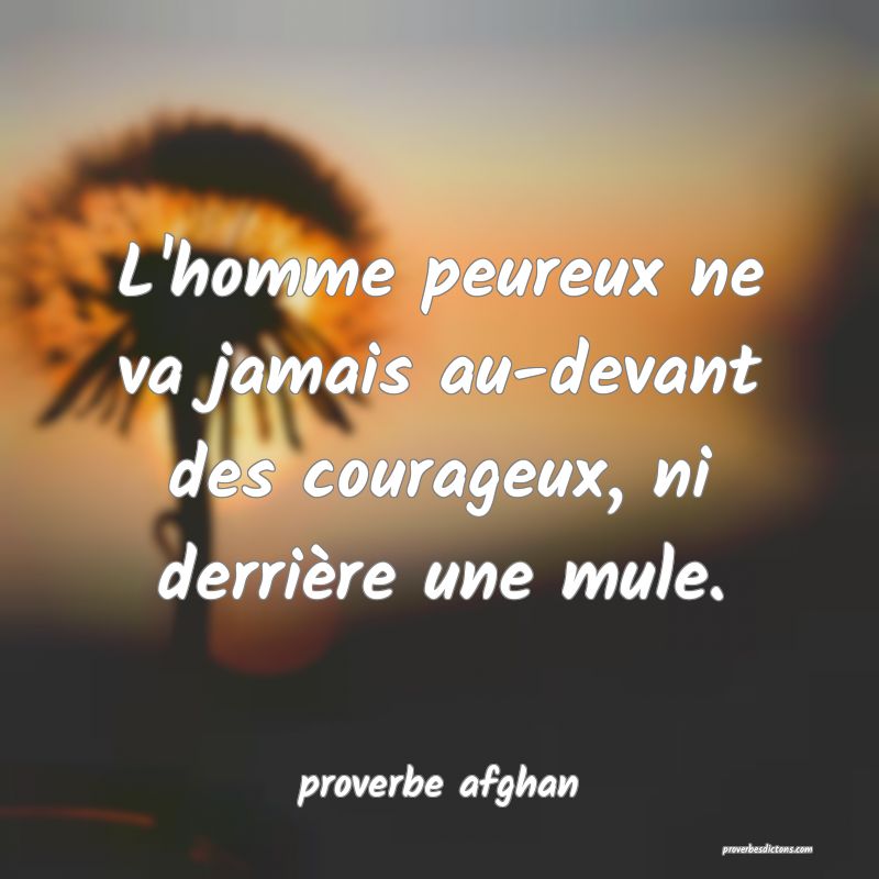 L'homme peureux ne va jamais au-devant des courageux, ni derrière une mule.