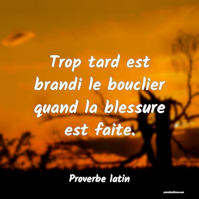 Trop tard est brandi le bouclier quand la blessure est faite.
