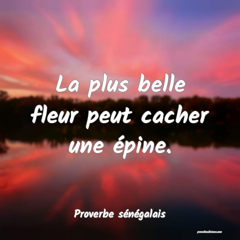 La plus belle fleur peut cacher une épine.
