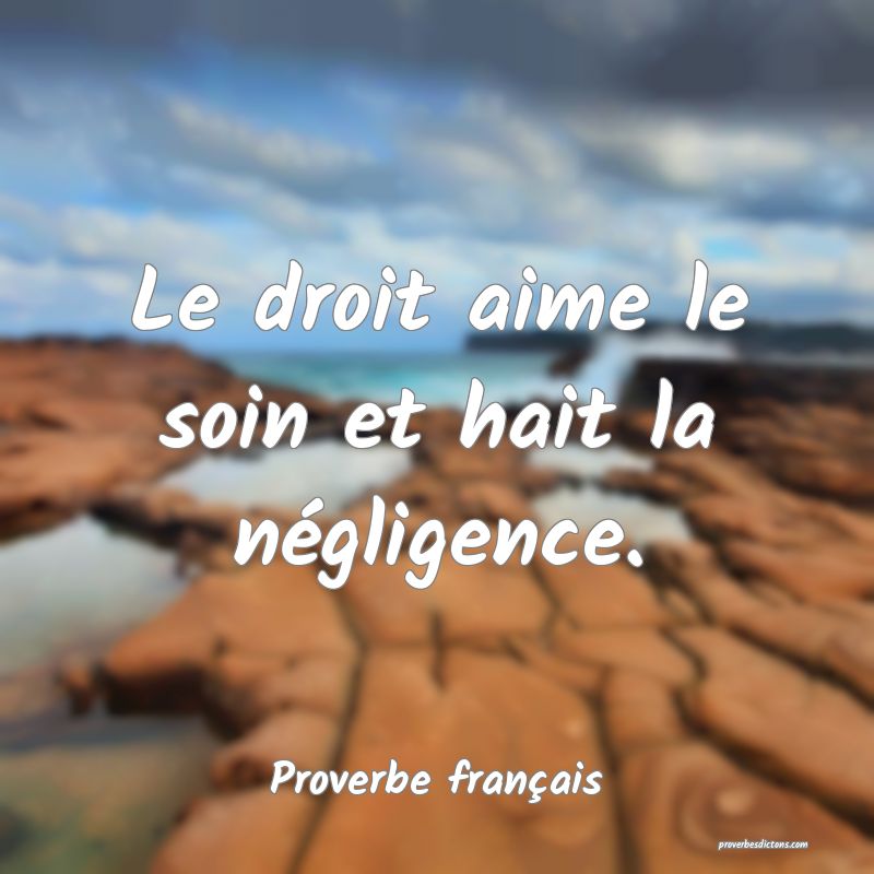 Le droit aime le soin et hait la négligence.