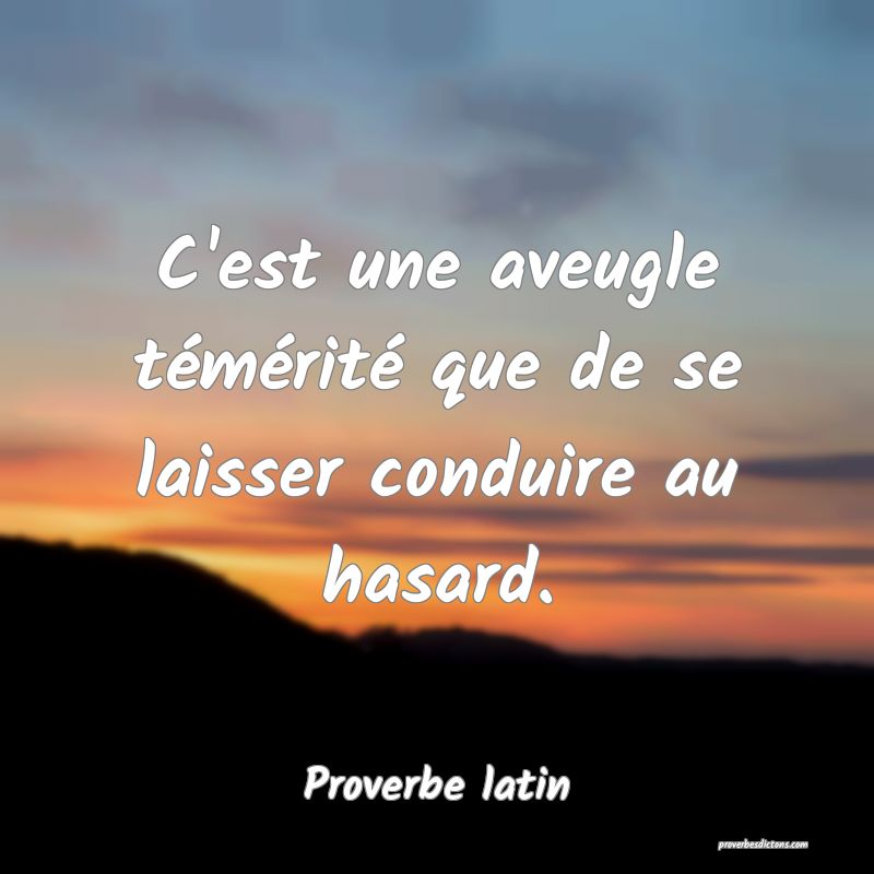 C'est une aveugle témérité que de se laisser conduire au hasard.