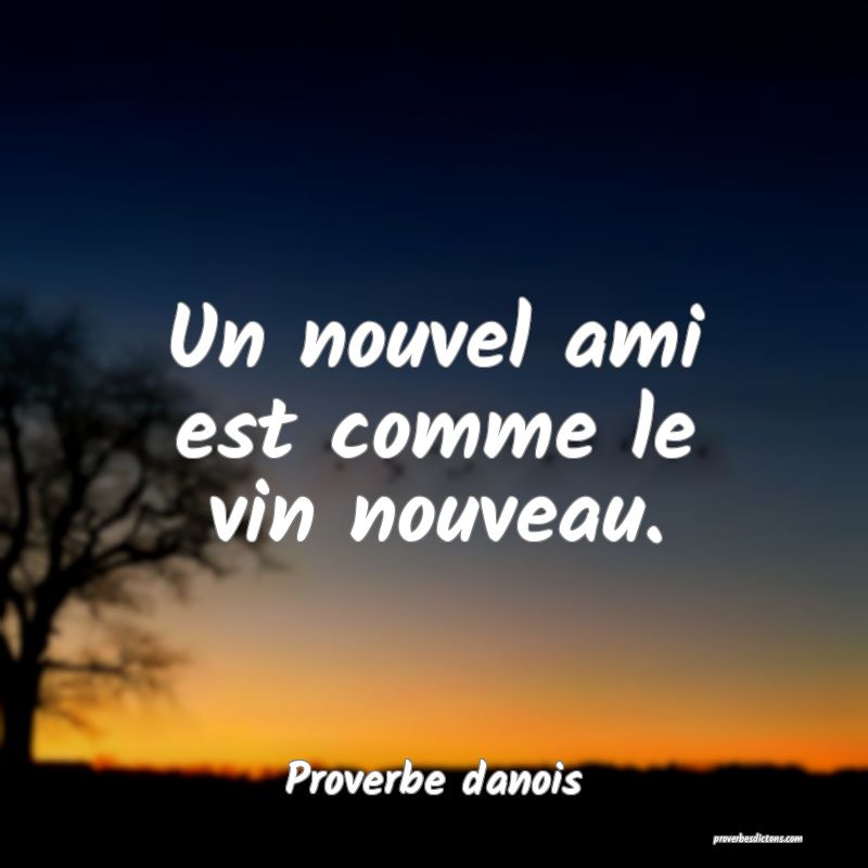 Un nouvel ami est comme le vin nouveau.