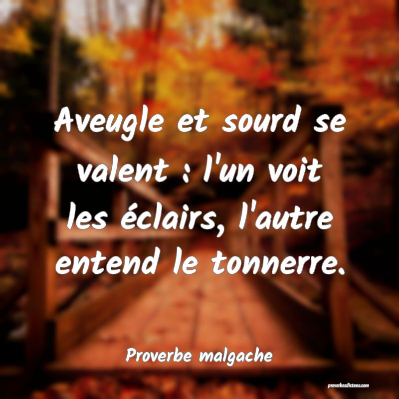 Aveugle et sourd se valent : l'un voit les éclairs, l'autre entend le tonnerre.