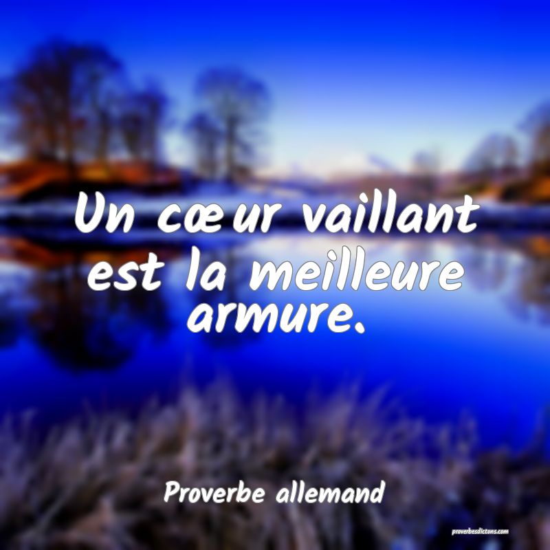 Un cœur vaillant est la meilleure armure.