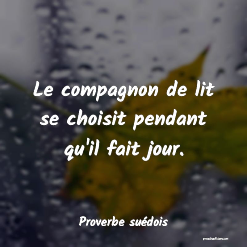 Le compagnon de lit se choisit pendant qu'il fait jour.