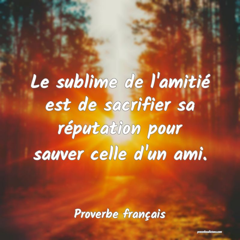 Le sublime de l'amitié est de sacrifier sa réputation pour sauver celle d'un ami.